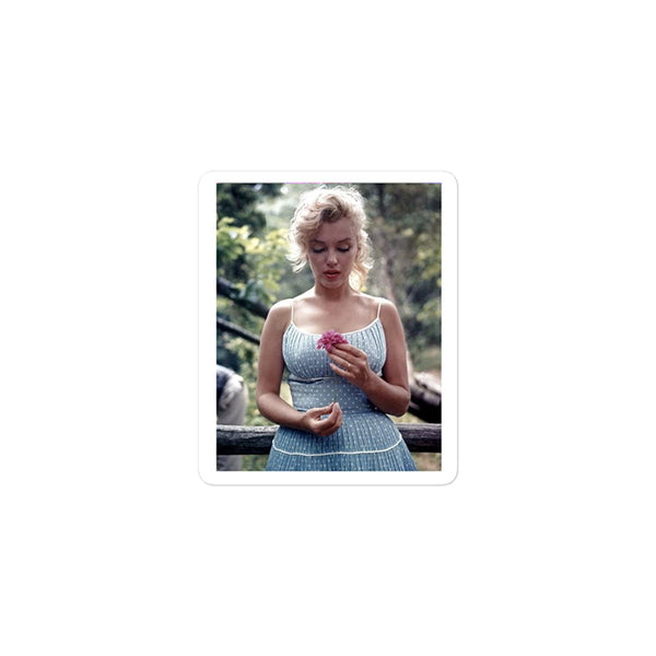 Marilyn Monroe- Bubble-free stickers