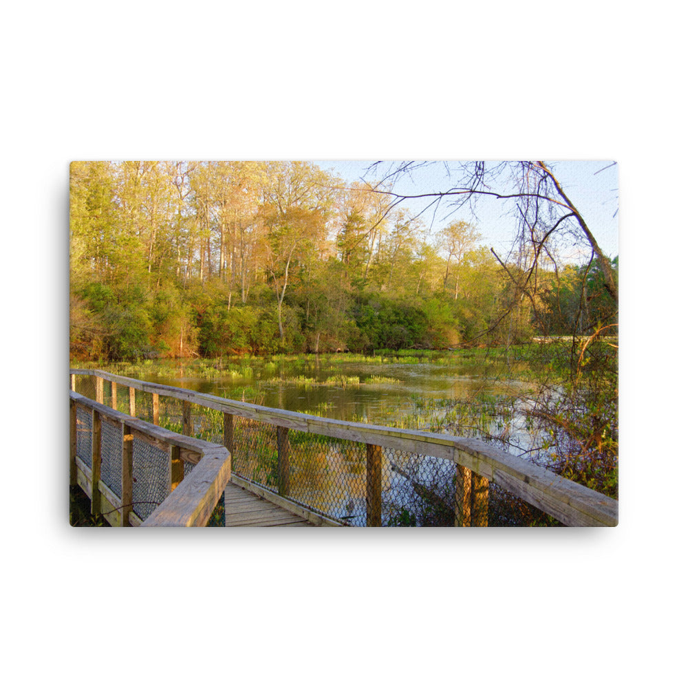 Wetland Sunset